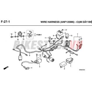 F-27-1_CỤM DÂY DIỆN